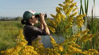NRRI Integrated Research Solutions Presents: The Avian Ecology Lab