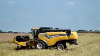 New Holland Cx 5080 przygotowuje się do omłotu rzepaku Lubelskie HD
