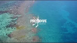 Pro Dive Mauritius Trailer 2018