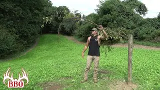 The Perfect Mock Scrape Setup for Your Food Plot! | Get Same Day Results on Big Deer in Your Area!