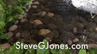 Art of Listening Hypnosis Session - Dr. Steve G. Jones