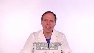IMPORTANT Health information about Cholesterol and the Heart!!