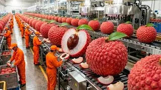 Inside a modern lychee processing factory: Lychee processing technology