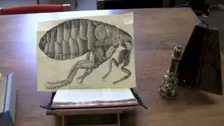 Special Collections at the University of Colorado Boulder Libraries