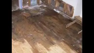 Tanin Carpet Upholstery Tile Cleaning, Water Damage Restoration Flooded Basement Mchenry Lake Zurich