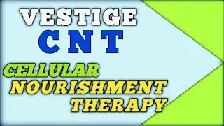 VESTIGE CNT | Cellular Nourishment Therapy  2024 | Vestige All Product