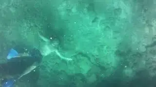 Testing the Ocean Eye module on portable power in Fiji