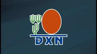 1 Unit Income in DXN IOC