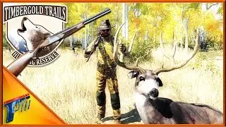Hunting Timbergold Trails with the .30 R | theHunter Classic 2017