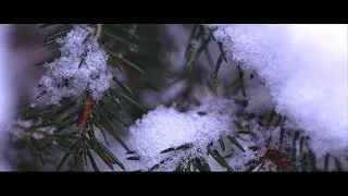 Winter Cinematic shot //Sony A7