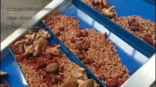 Drum Washing Machine Pepper Peanut Shiitake Red Date Cleaning Machine