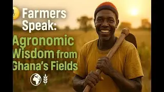 Farmers Speak: Agronomic Wisdom from Ghana&rsquo;s Fields | Lessons for the Next Generation of Growers
