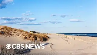 How to stay safe at the beach amid increased shark sightings