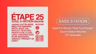 Need For Mirrors - Hold Your Horses (Premiere) Soul In Motion Records