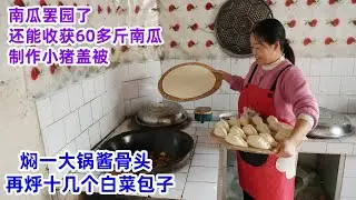 南瓜罢园，公婆还能收获60多斤南瓜，媳妇制作小猪盖被吃，再焖一地锅酱骨头，烀白菜包子