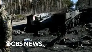 Russia-Ukraine war could cause environmental devastation in region, experts warn