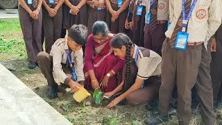 TREE PLANTATION DRIVE 2025
