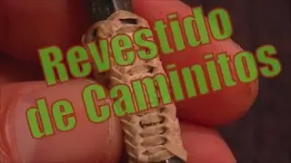 Revestido de Caminitos 