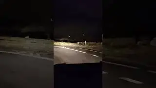 un lapin 🐰 et un renard 🐺 sur la route