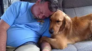 When Your Dog Becomes Your Better Half