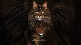 power Of Transformation...!! #editing #trolledit #memes #shocking #cats #viral #viralshorts