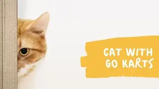 Cat with Super Mario Go Kart #Shorts