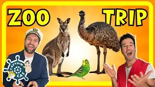 Wallabies, Emus, Budgies  | Living Desert Zoo