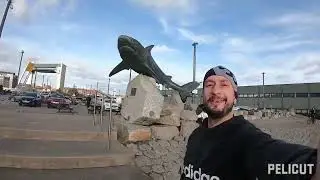 Welcome to Hull !!!