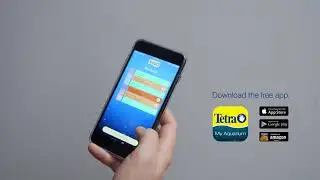 Tetra&reg; &ndash; How to Create a Regular Maintenance Schedule for Your Aquarium