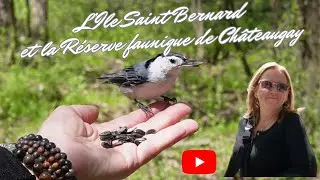 LA RESERVE FAUNIQUE DE CHATEAUGAY