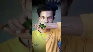 Rose 🌹 || Happy Rose Day || weeks || Ultimate Yaar
