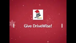 DriveWise Driving School