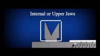 1.4.அளவீடு - வேணியர் இடுக்குமானி | Physics | A/L | Tamil Medium |