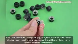 Development Trends of Eco Friendly Biodegradable Petroleum Seals