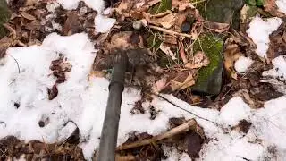 Metal Detecting In The Woods! What Did I Find? Upstate NY. Any Ideas?