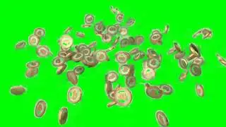 Bit coin green screen