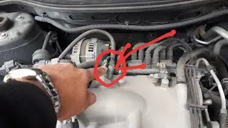 Chevy Equinox válvula de evaporación