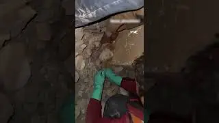 Palestinian civil defence team rescues cat from under the rubble in Gaza