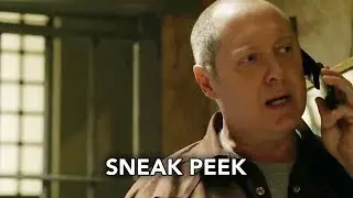 The Blacklist 6x08 Sneak Peek 