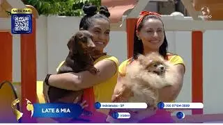Entrevista Mundo empresarial Late & Mia/ Rotina creche e hospedagem pra cães