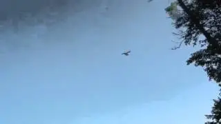 Cold Stream Pond fly-by