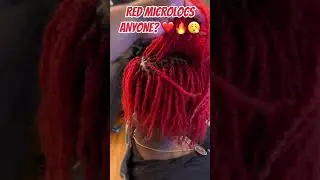 Installed by me #alopecia #locs #microlocs #microlocstips #microlocsjourney #sisterlocks  @locsbykm