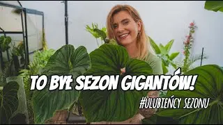 TE ROŚLINY SKRADŁY MOJE SERCE W TYM SEZONIE 💚 | lunavlog
