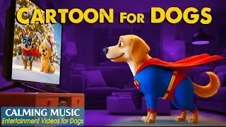 Cartoon for Dogs: Relaxing Dog TV to Keep Your Dog Happy While You&rsquo;re Away &ndash; Soothing Music for Dogs