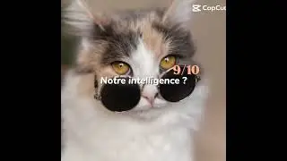 Ma classe 😅