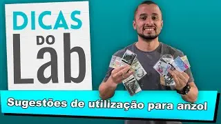 Dicas do Lab 18 - Tipos de Anzóis