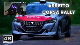 O PEUGEOT 208 RALLY É UM MONSTRO! 💨 Assetto Corsa Rally