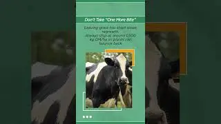 Strong Grass, Strong Farm