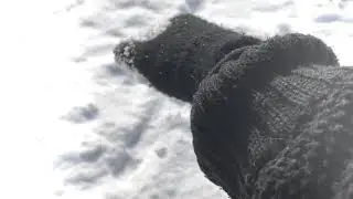 Destination Unknown - The Story of the Snow King [Music Video]