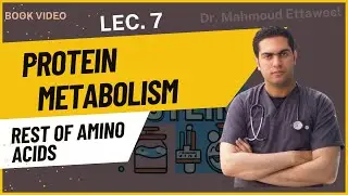 Protein Metabolism (Book) - lecture.7 - Rest of Amino Acids Metabolism - Dr. Mahmoud Ettaweel
